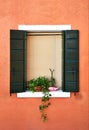 Window with shutter and flowers in the pot. Italy, Venice Royalty Free Stock Photo