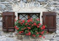 Window with shutters and flower