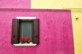 Window with shutters and flowers on a pink and yellow wall. Colorful houses on Burano island near Venice, Italy Royalty Free Stock Photo