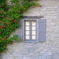 Window with shutters and vine