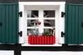 Window sill with Christmas decoration in red flower box. Small Christmas tree, red ball, red and white candy cane, green shutters.