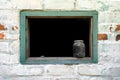 Window sill of and frame of abandoned home in Chernobyl, Ukraine