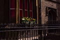 Window sill with flowers / flowerpot, Cambridge, UK Royalty Free Stock Photo