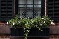 Window Sill Planter Box with Plants and Flowers on an Old Brick Home with Shutters in New York City Royalty Free Stock Photo