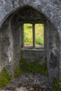 Window to Blarney Castle Grounds, Ireland