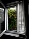 Window to the colorful world in ukraine Royalty Free Stock Photo