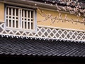 Window of traditional Japanese house with cherry blossoms Royalty Free Stock Photo