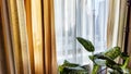 Window with transparent white tulle beige curtains. Background and texture with fabric and copy space for text