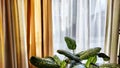 Window with transparent white tulle beige curtains. Background and texture with fabric and copy space for text