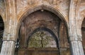 The window `Tree of Life` in Sidi Saiyyed Mosque or Sidi Saiyyid ni Jali in Ahmedabad Gujarat India