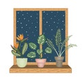 Window with tropical houseplants in pots