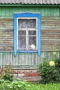 Window with Tulle and Cat in Old Village House Royalty Free Stock Photo