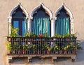 Window of Venice Royalty Free Stock Photo