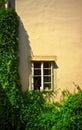 Window on wall with ivy Royalty Free Stock Photo