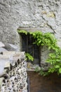 Window and Wall of an Old Stone Cottage House with green plants Royalty Free Stock Photo