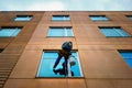 A window washer with a bucket hangs from a rope off a building.