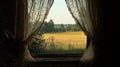 A window with a white curtain that is open to a field Royalty Free Stock Photo