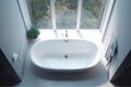 house white indoor home room design apartment tub interior contemporary window. Generative AI.