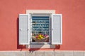 Window with white shutters and beautiful blooming flowers against a red wall Royalty Free Stock Photo