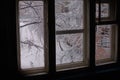 Window in winter. Royalty Free Stock Photo