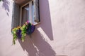 Window with wooden frame and a colorful flower box on a pink house facade in Rethymno Crete Royalty Free Stock Photo