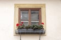 A window with wooden frames, red flowers on the windowsill. Royalty Free Stock Photo