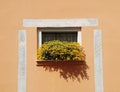 Windowbox in Izola