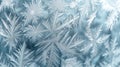 A windowpane etched with a stunning array of frost patterns as tiny particles slowly arrange themselves into delicate