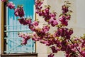 Windows and balcony, modern apartment house Royalty Free Stock Photo