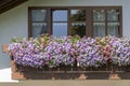 windows and blossoming colorful flowers at old house, Immenstadt, Germany