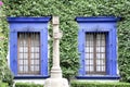 Windows of a building decorated with green ivy and side view of a statue