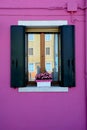 Windows of Burano, Venice, Italy Royalty Free Stock Photo