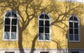 Windows of the church with shadows of trees