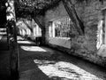 Windows of a construction in a Park. loneliness in black and white