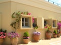 Windows and flowerpots