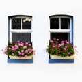 Windows with flowers Royalty Free Stock Photo