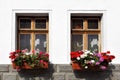 Windows with flowers Royalty Free Stock Photo