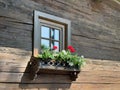 Windows with flowers on a Bavarian house external wall