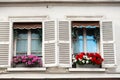 Windows with flowers on Montmartre street Royalty Free Stock Photo