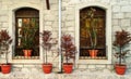 Windows and flowers with stone wall