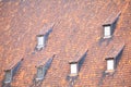 Windows and garret roof