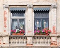 Windows with geranium flower pots and Christmas decoration