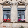 Windows with geranium flower pots and Christmas ornaments