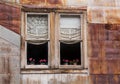 Windows in Ghost Town of St Elmo