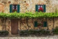 A vineyard in the Tuscany region, Italy Royalty Free Stock Photo