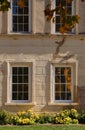 Windows in Historic Building