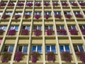 Windows with lots of flowers on an apartment Royalty Free Stock Photo