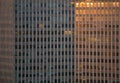 Windows of an office building with the reflection of a spectacular sunset in background Royalty Free Stock Photo