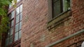 Windows of an old brick house on a sunny day.