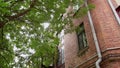 Windows of an old brick house on a sunny day.